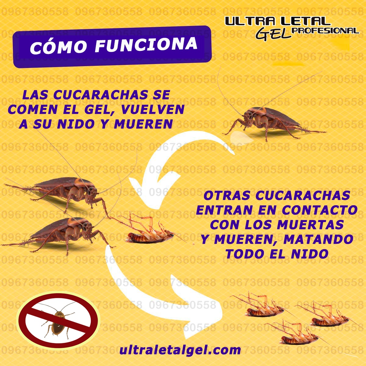 Inicio 3