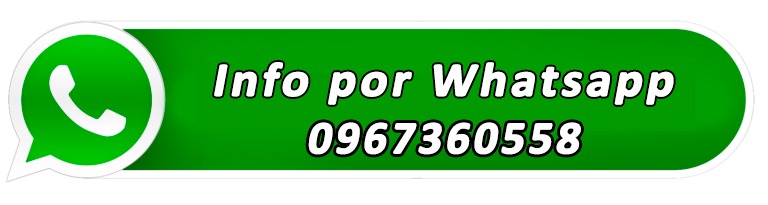 Inicio 6 WhatsApp ultra letal gel