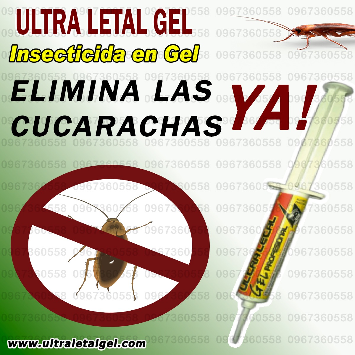 Inicio 5